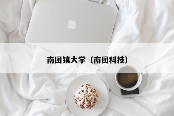 南团镇大学（南团科技）