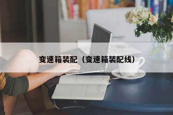 变速箱装配（变速箱装配线）