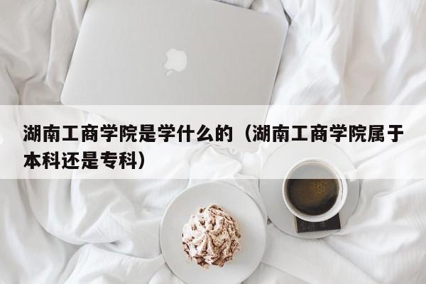 湖南工商学院是学什么的（湖南工商学院属于本科还是专科）