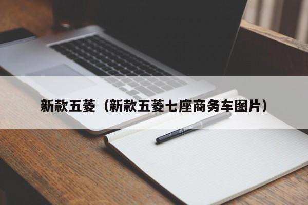 新款五菱（新款五菱七座商务车图片）
