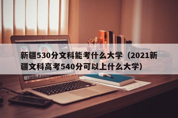 新疆530分文科能考什么大学（2021新疆文科高考540分可以上什么大学）