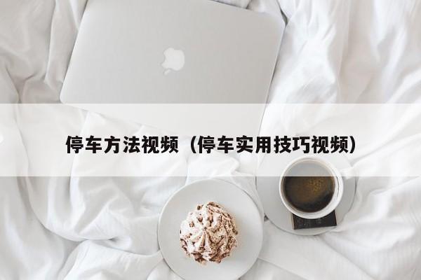 停车方法视频（停车实用技巧视频）