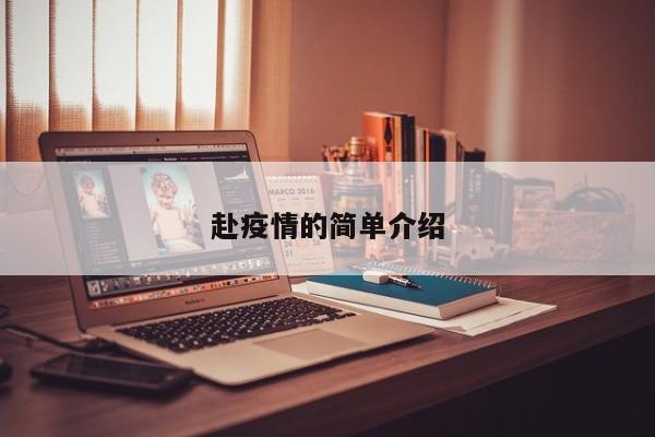 赴疫情的简单介绍