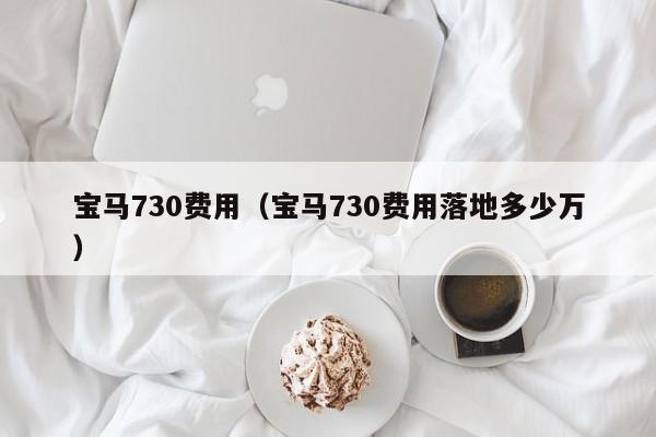 宝马730费用（宝马730费用落地多少万）