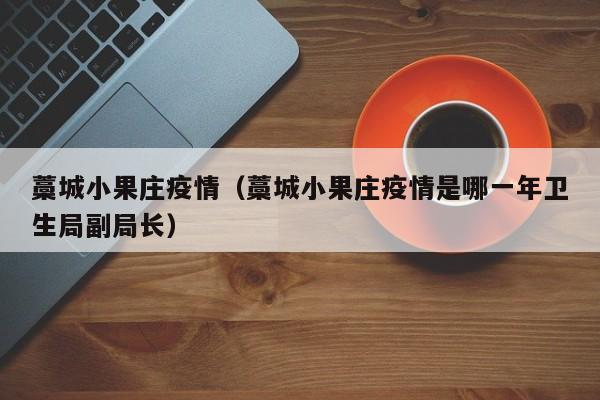 藁城小果庄疫情（藁城小果庄疫情是哪一年卫生局副局长）