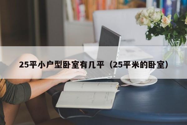 25平小户型卧室有几平（25平米的卧室）