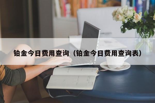 铂金今日费用查询（铂金今日费用查询表）