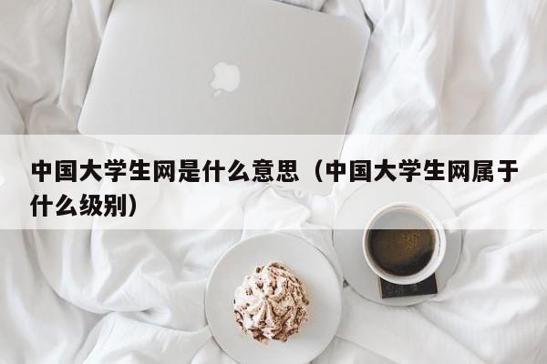 中国大学生网是什么意思（中国大学生网属于什么级别）