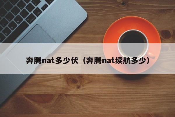奔腾nat多少伏（奔腾nat续航多少）