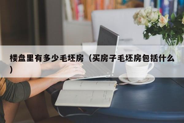 楼盘里有多少毛坯房（买房子毛坯房包括什么）