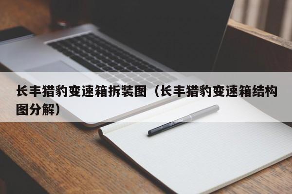 长丰猎豹变速箱拆装图（长丰猎豹变速箱结构图分解）