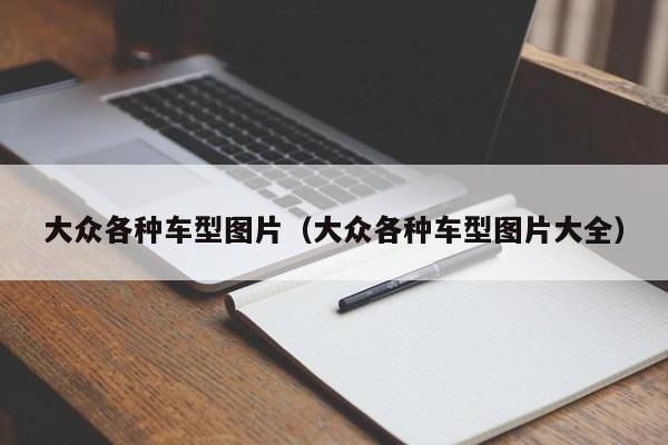 大众各种车型图片（大众各种车型图片大全）