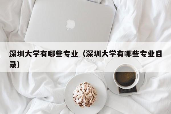 深圳大学有哪些专业（深圳大学有哪些专业目录）