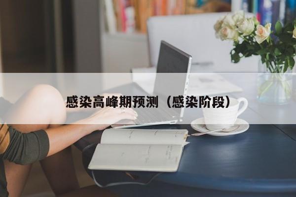 感染高峰期预测（感染阶段）