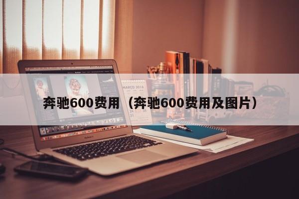 奔驰600费用（奔驰600费用及图片）
