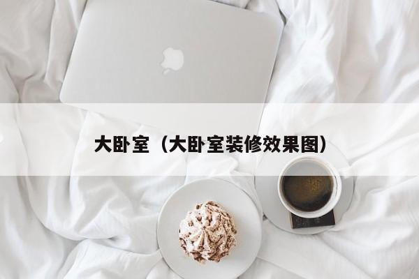 大卧室（大卧室装修效果图）
