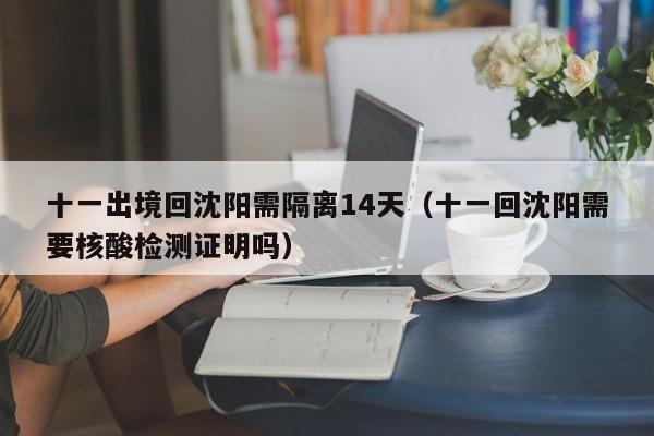 十一出境回沈阳需隔离14天（十一回沈阳需要核酸检测证明吗）