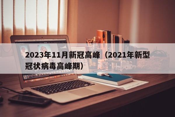 2023年11月新冠高峰（2021年新型冠状病毒高峰期）
