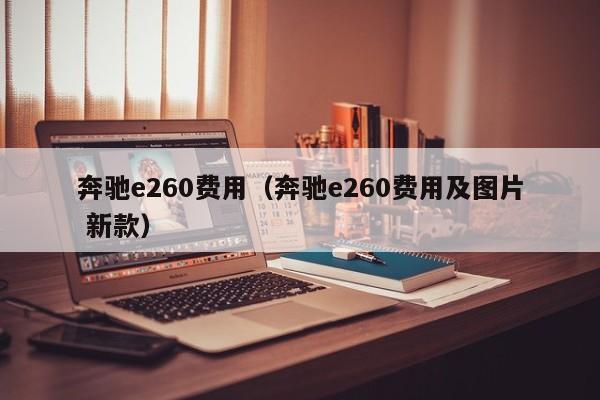 奔驰e260费用（奔驰e260费用及图片 新款）