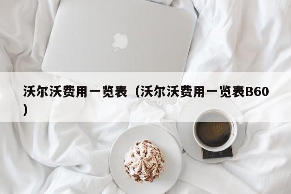 沃尔沃费用一览表（沃尔沃费用一览表B60）
