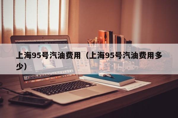 上海95号汽油费用（上海95号汽油费用多少）