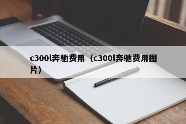 c300l奔驰费用（c300l奔驰费用图片）