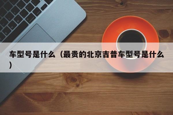 车型号是什么（最贵的北京吉普车型号是什么）