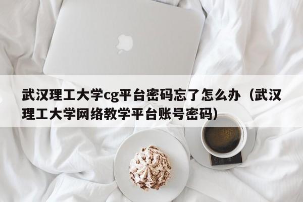 武汉理工大学cg平台密码忘了怎么办（武汉理工大学网络教学平台账号密码）