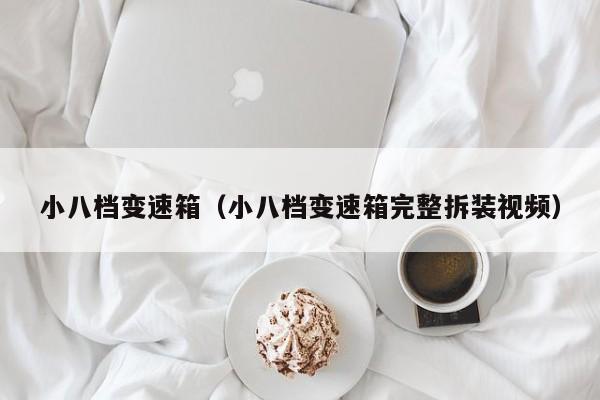 小八档变速箱（小八档变速箱完整拆装视频）