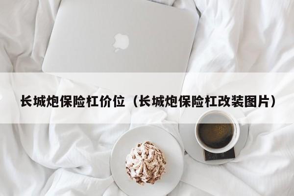 长城炮保险杠价位（长城炮保险杠改装图片）