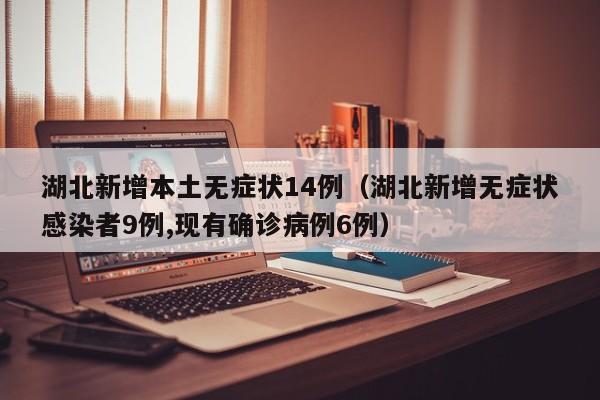 湖北新增本土无症状14例（湖北新增无症状感染者9例,现有确诊病例6例）