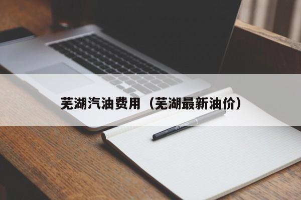 芜湖汽油费用（芜湖最新油价）
