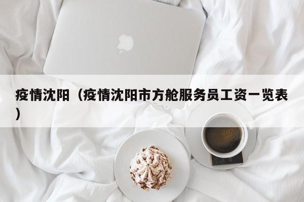 疫情沈阳（疫情沈阳市方舱服务员工资一览表）