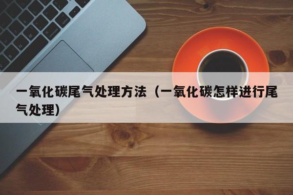 一氧化碳尾气处理方法（一氧化碳怎样进行尾气处理）