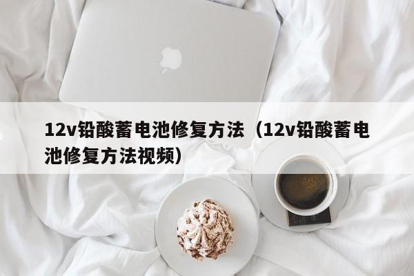 12v铅酸蓄电池修复方法（12v铅酸蓄电池修复方法视频）