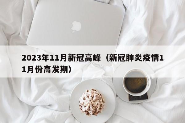 2023年11月新冠高峰（新冠肺炎疫情11月份高发期）