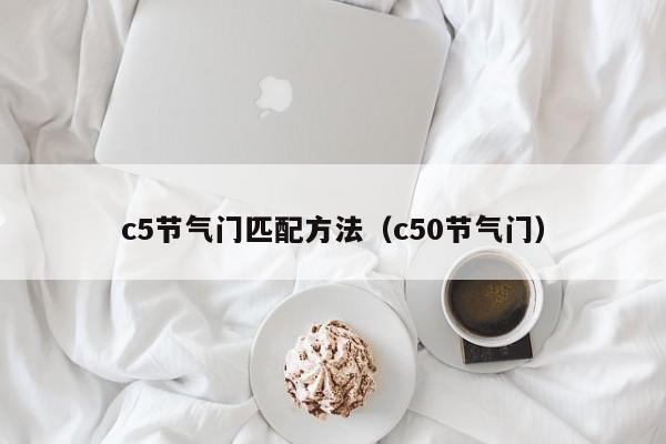 c5节气门匹配方法（c50节气门）