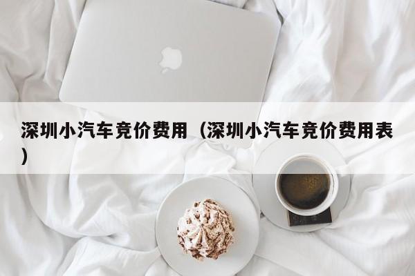 深圳小汽车竞价费用（深圳小汽车竞价费用表）