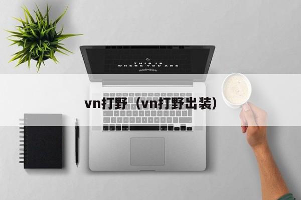 vn打野（vn打野出装）