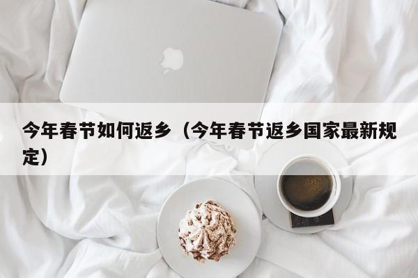 今年春节如何返乡（今年春节返乡国家最新规定）