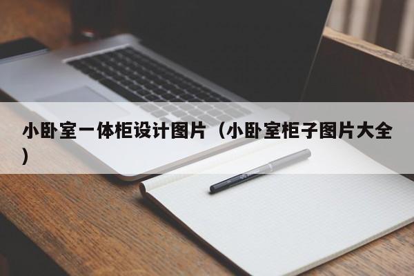 小卧室一体柜设计图片（小卧室柜子图片大全）
