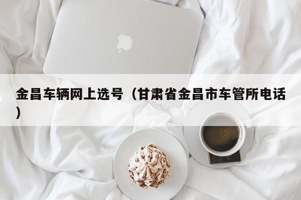 金昌车辆网上选号（甘肃省金昌市车管所电话）