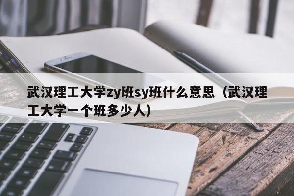 武汉理工大学zy班sy班什么意思（武汉理工大学一个班多少人）